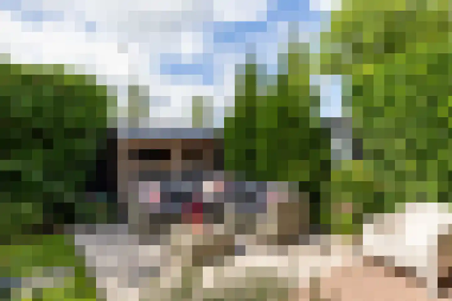 Koopmanswei 1 Brantgum thumbnail 67