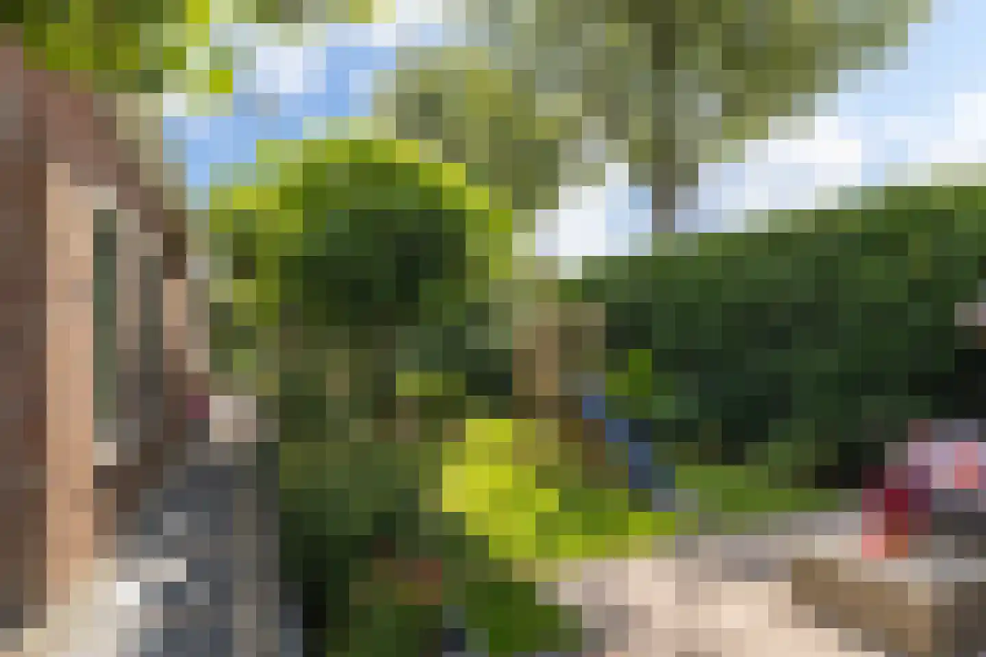 Koopmanswei 1 Brantgum thumbnail 68