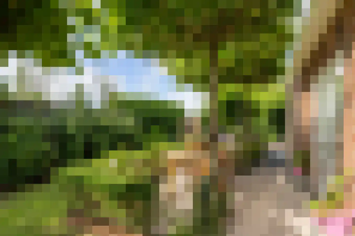 Koopmanswei 1 Brantgum thumbnail 69