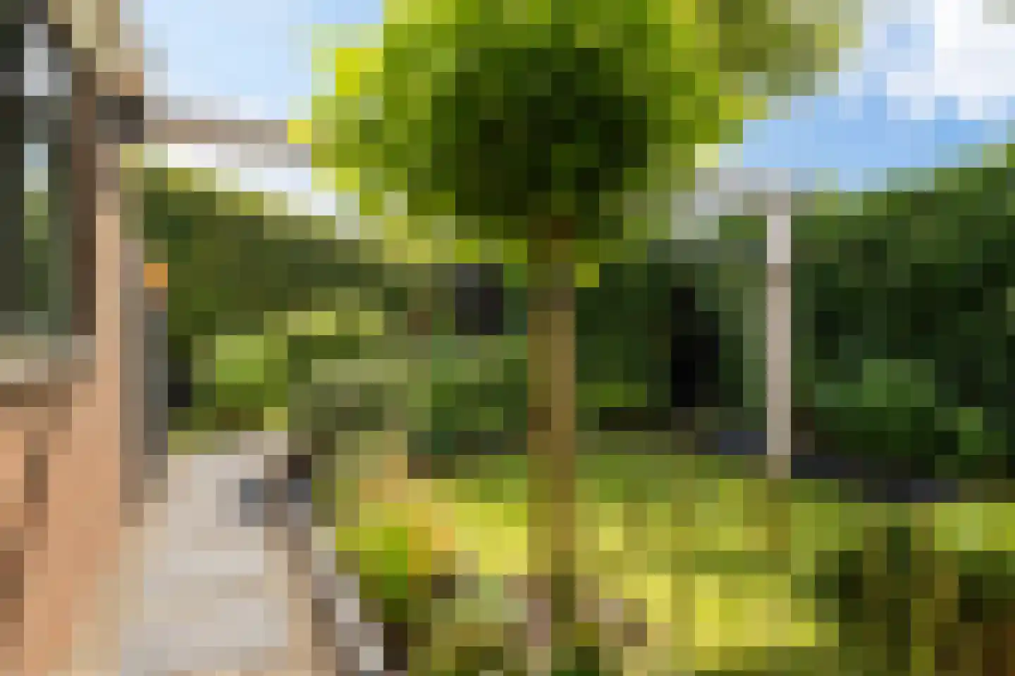 Koopmanswei 1 Brantgum thumbnail 70