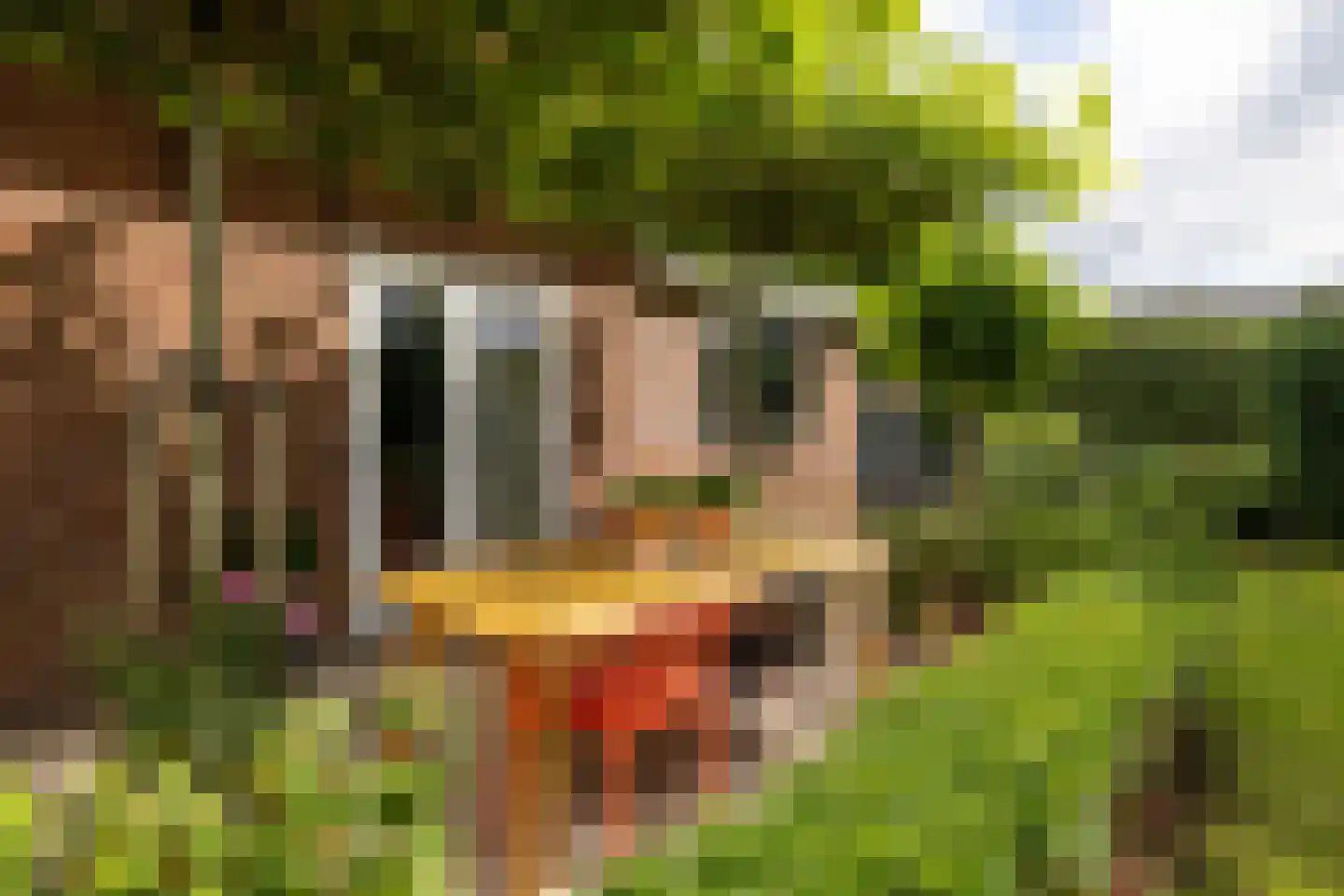Koopmanswei 1 Brantgum thumbnail 72
