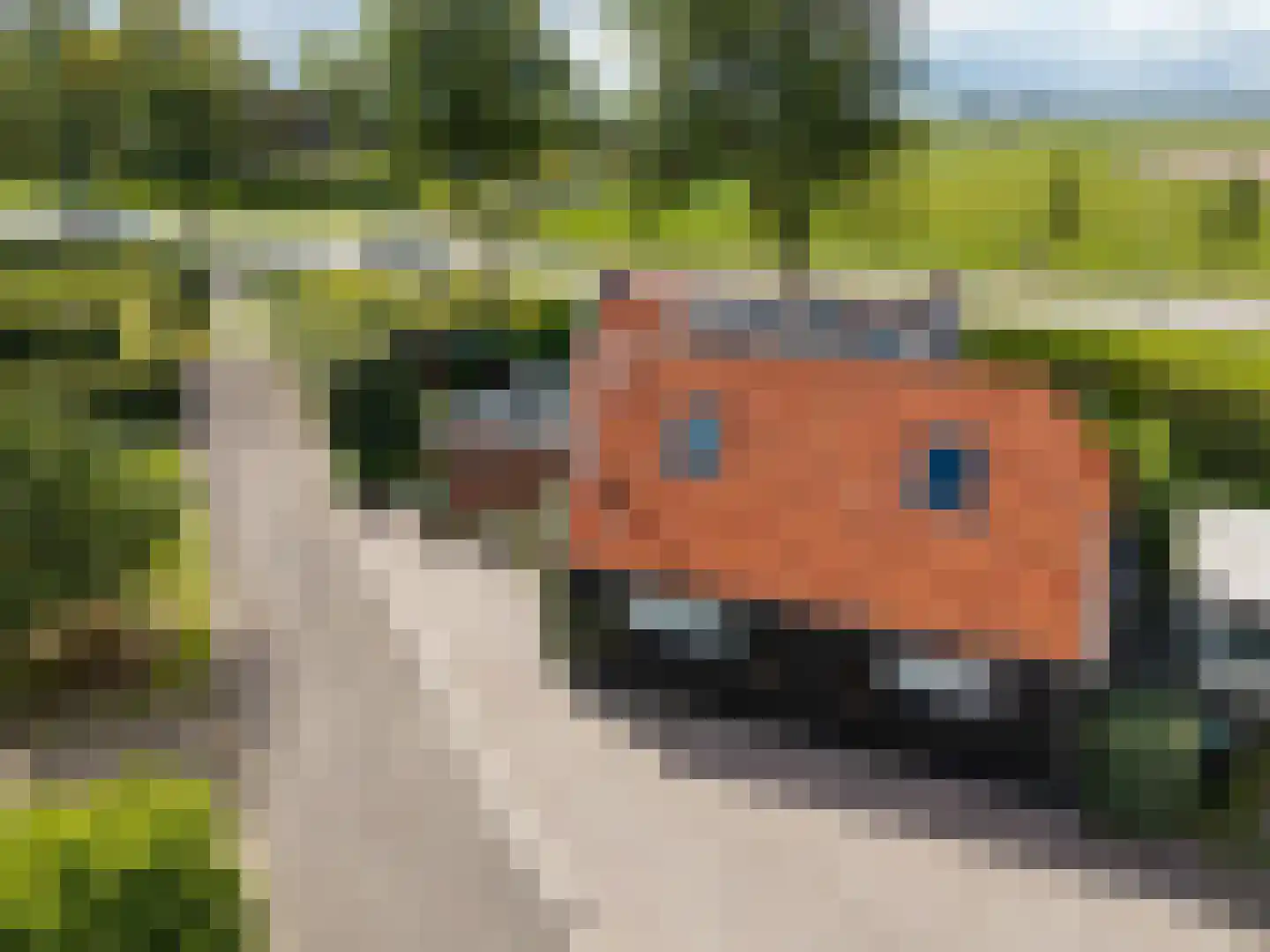 Koopmanswei 1 Brantgum thumbnail 75
