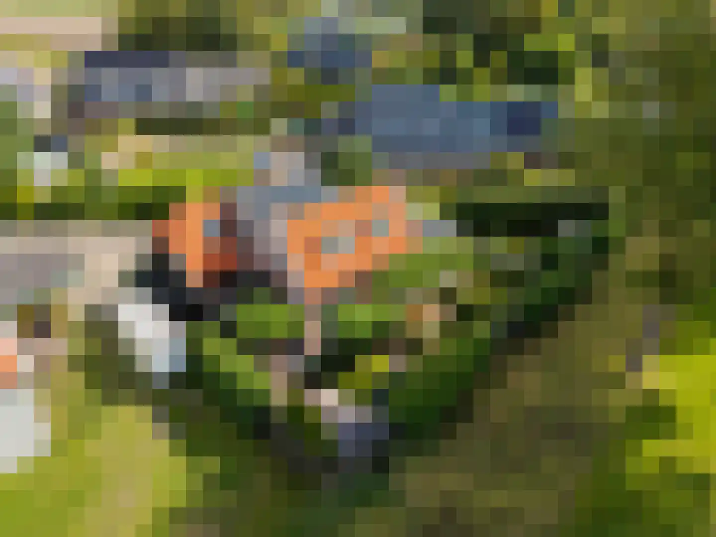 Koopmanswei 1 Brantgum thumbnail 76