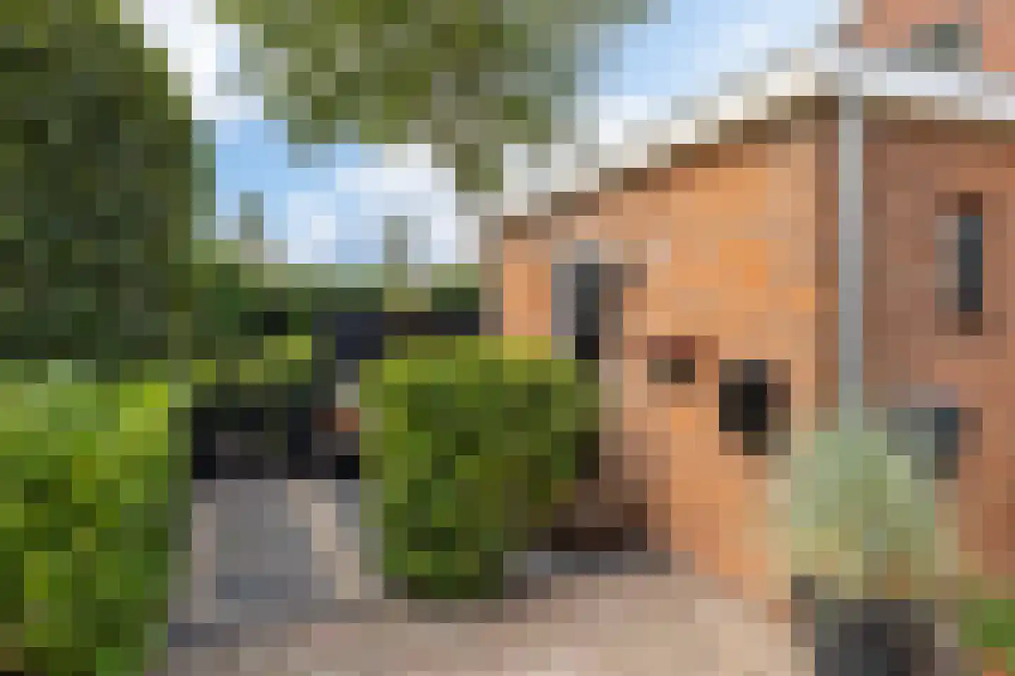 Koopmanswei 1 Brantgum thumbnail 8