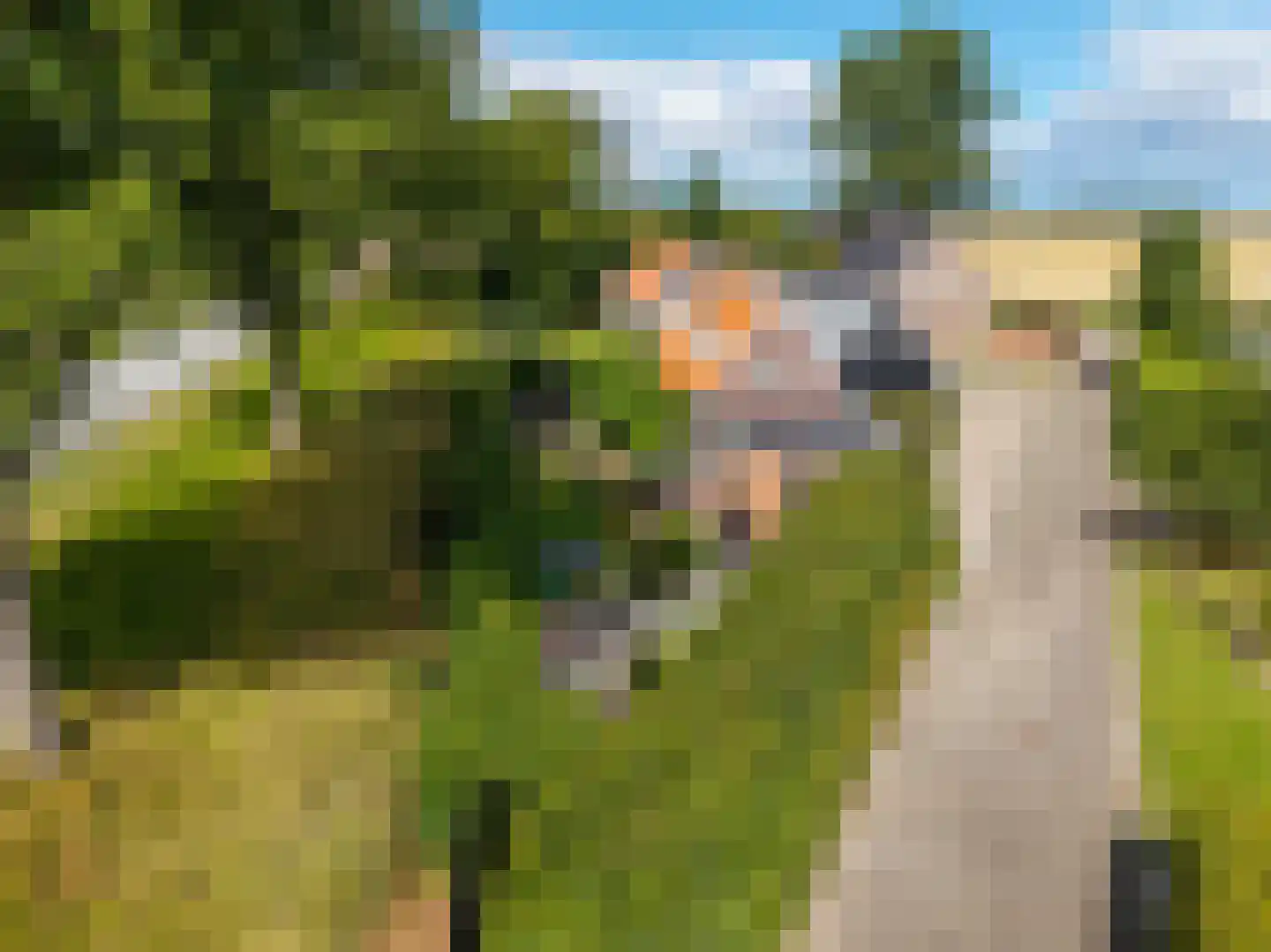 Koopmanswei 1 Brantgum thumbnail 80