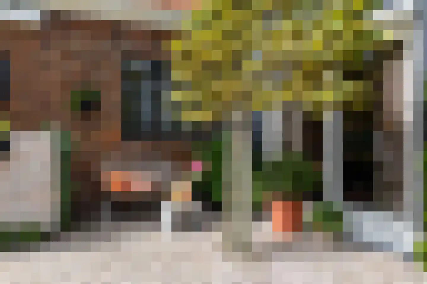 Koopmanswei 1 Brantgum thumbnail 9