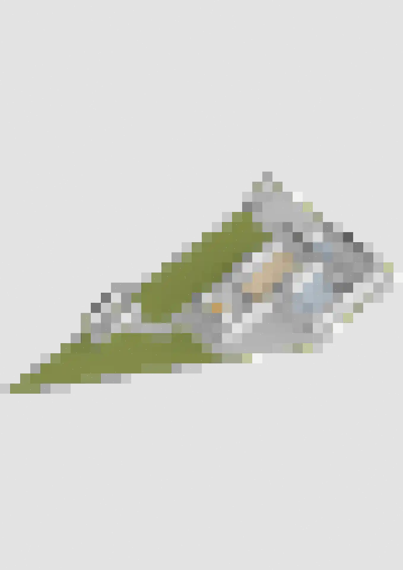 Koopmanswei 1 Brantgum thumbnail 90