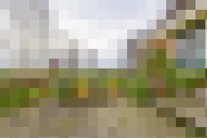Koopmanweg 10 A Echtenerbrug thumbnail 22