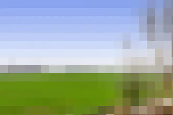 Koopmanweg 10 A Echtenerbrug thumbnail 62