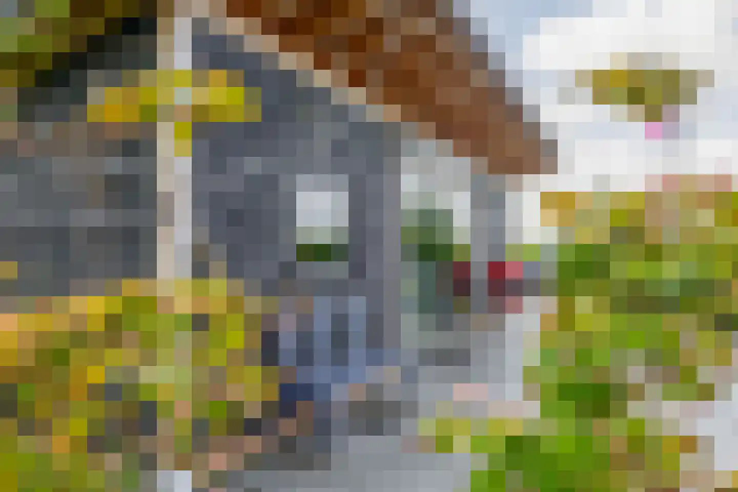 Koopmanweg 9 Echtenerbrug thumbnail 31