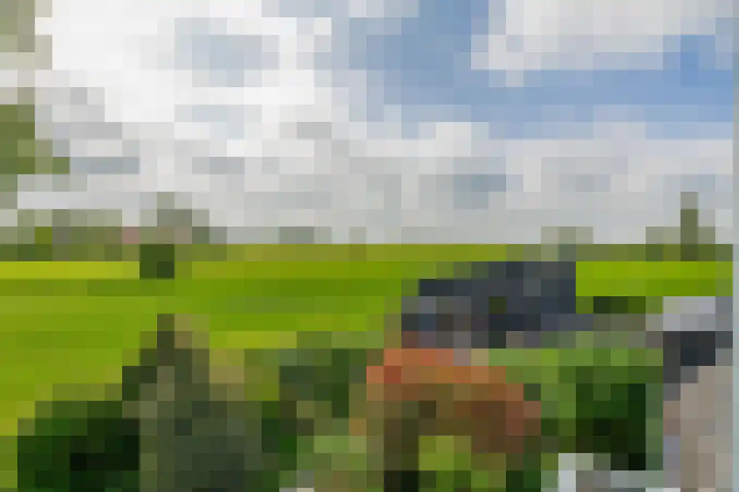 Koopmanweg 9 Echtenerbrug thumbnail 37