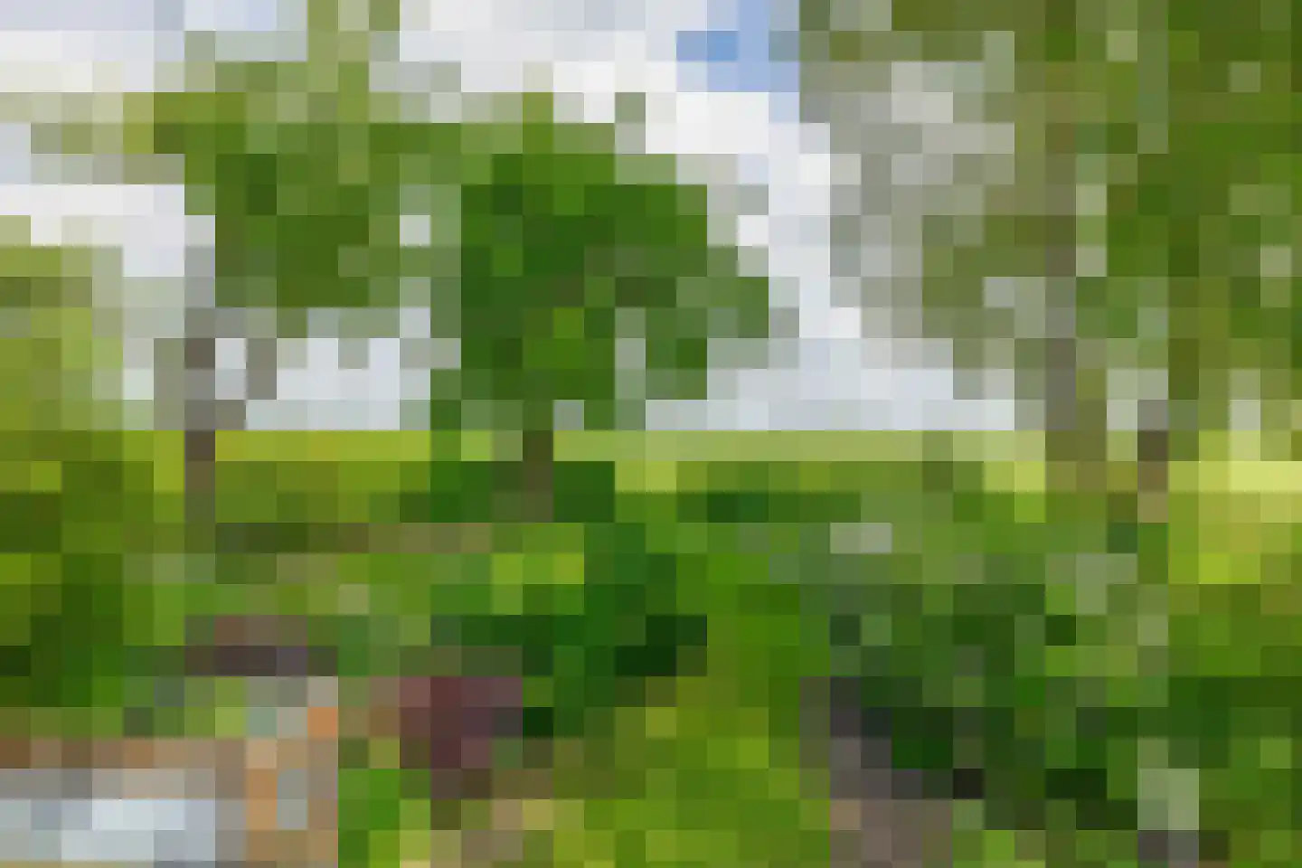 Koopmanweg 9 Echtenerbrug thumbnail 59