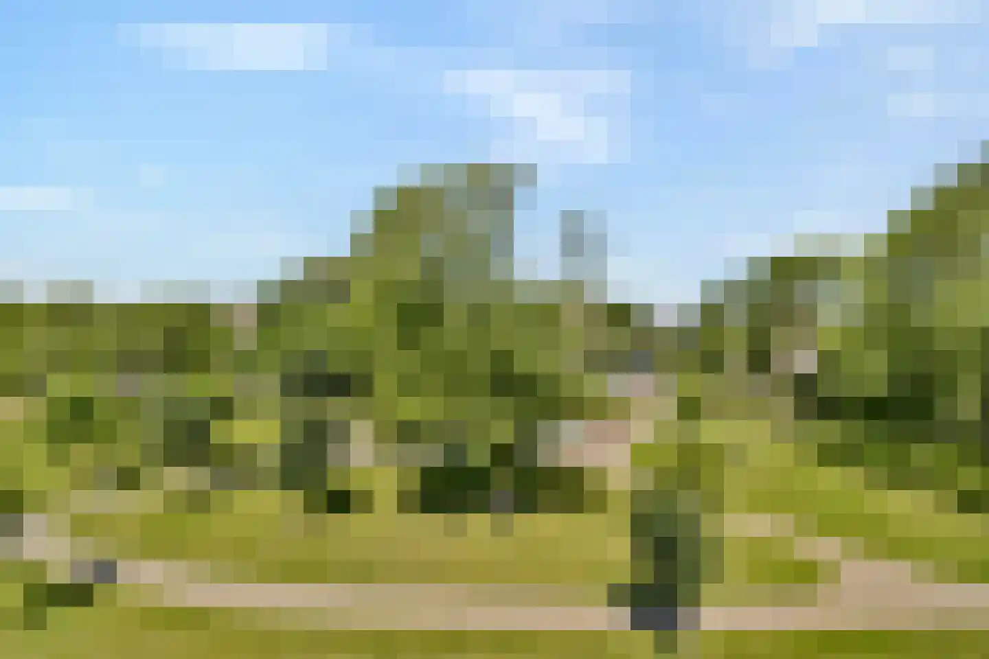 Koopvaardersplantsoen 37 A Amsterdam thumbnail 46