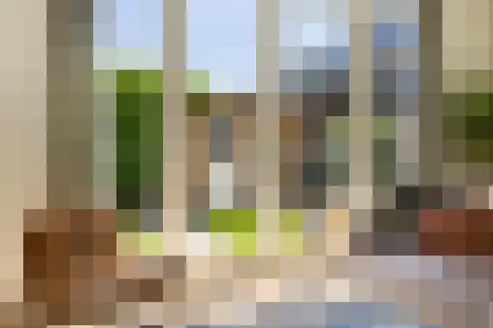 Koopvaardersplantsoen 39 A Amsterdam thumbnail 18