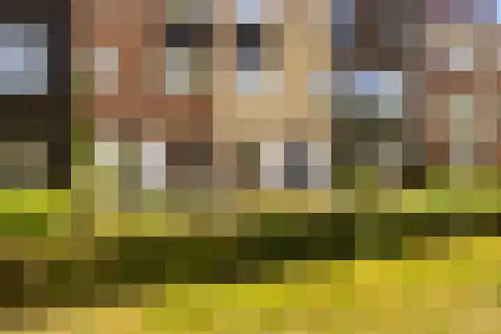 Koopvaardersplantsoen 39 A Amsterdam thumbnail 37