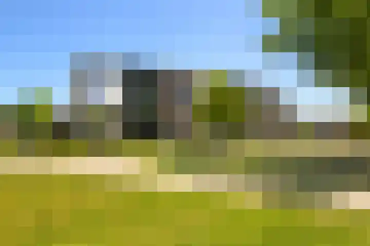 Koopvaardersplantsoen 39 A Amsterdam thumbnail 4
