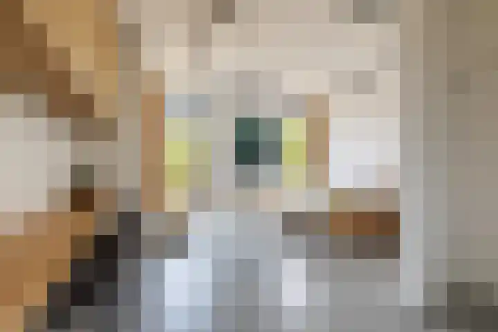Koopvaardersplantsoen 51 B Amsterdam thumbnail 18