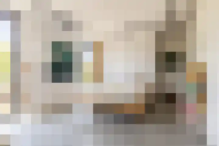 Koopvaardersplantsoen 51 B Amsterdam thumbnail 19