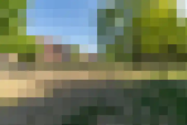 Koopvaardersplantsoen 51 B Amsterdam thumbnail 22
