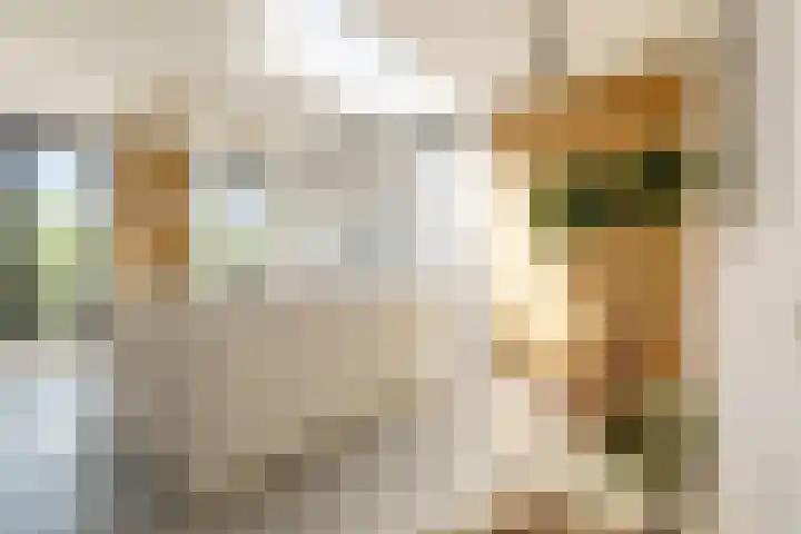 Koopvaardersplantsoen 51 B Amsterdam thumbnail 6