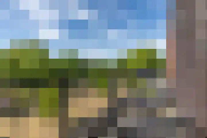 Koopvaardersplantsoen 51 B Amsterdam thumbnail 8