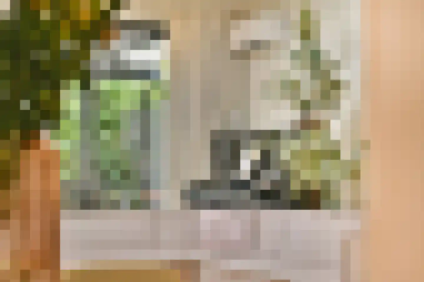 Koopvaardersplantsoen 81 Amsterdam thumbnail 10