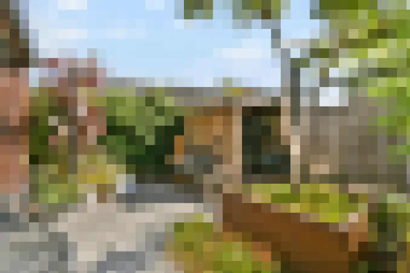 Koopvaardersplantsoen 81 Amsterdam thumbnail 14