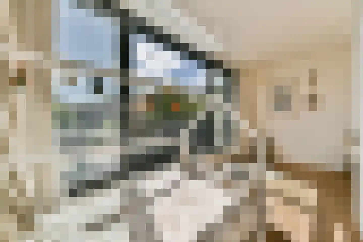 Koopvaardersplantsoen 81 Amsterdam thumbnail 21