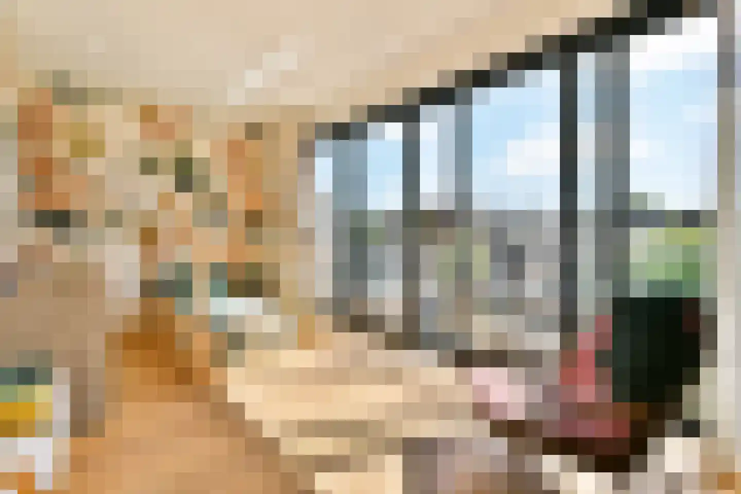 Koopvaardersplantsoen 81 Amsterdam thumbnail 28