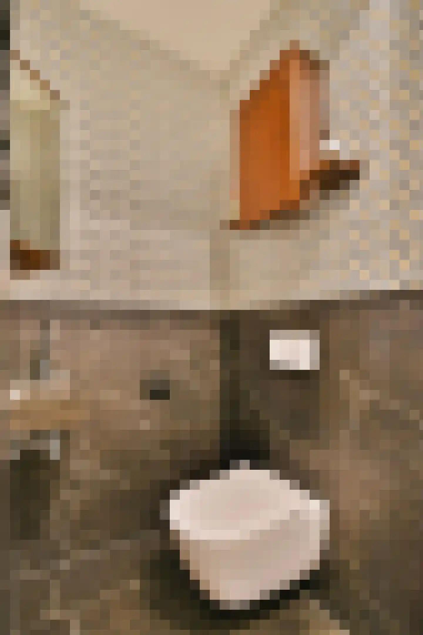 Koopvaardersplantsoen 81 Amsterdam thumbnail 31