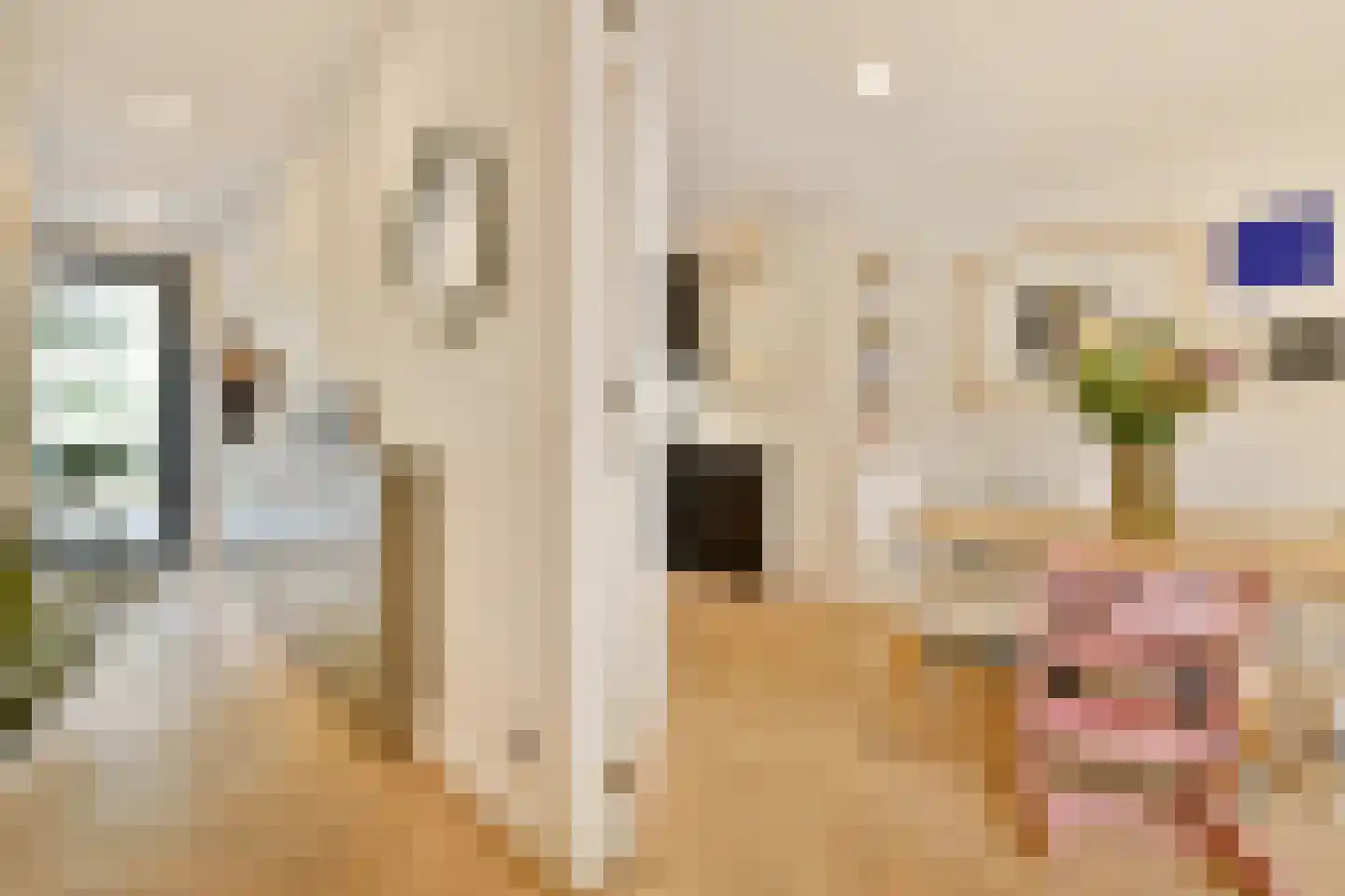 Koopvaardersplantsoen 81 Amsterdam thumbnail 4