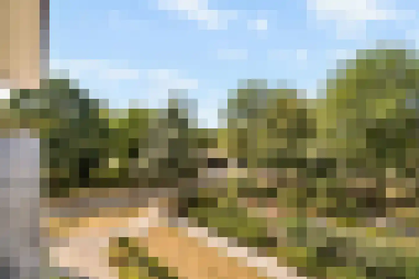 Koopvaardersplantsoen 81 Amsterdam thumbnail 43