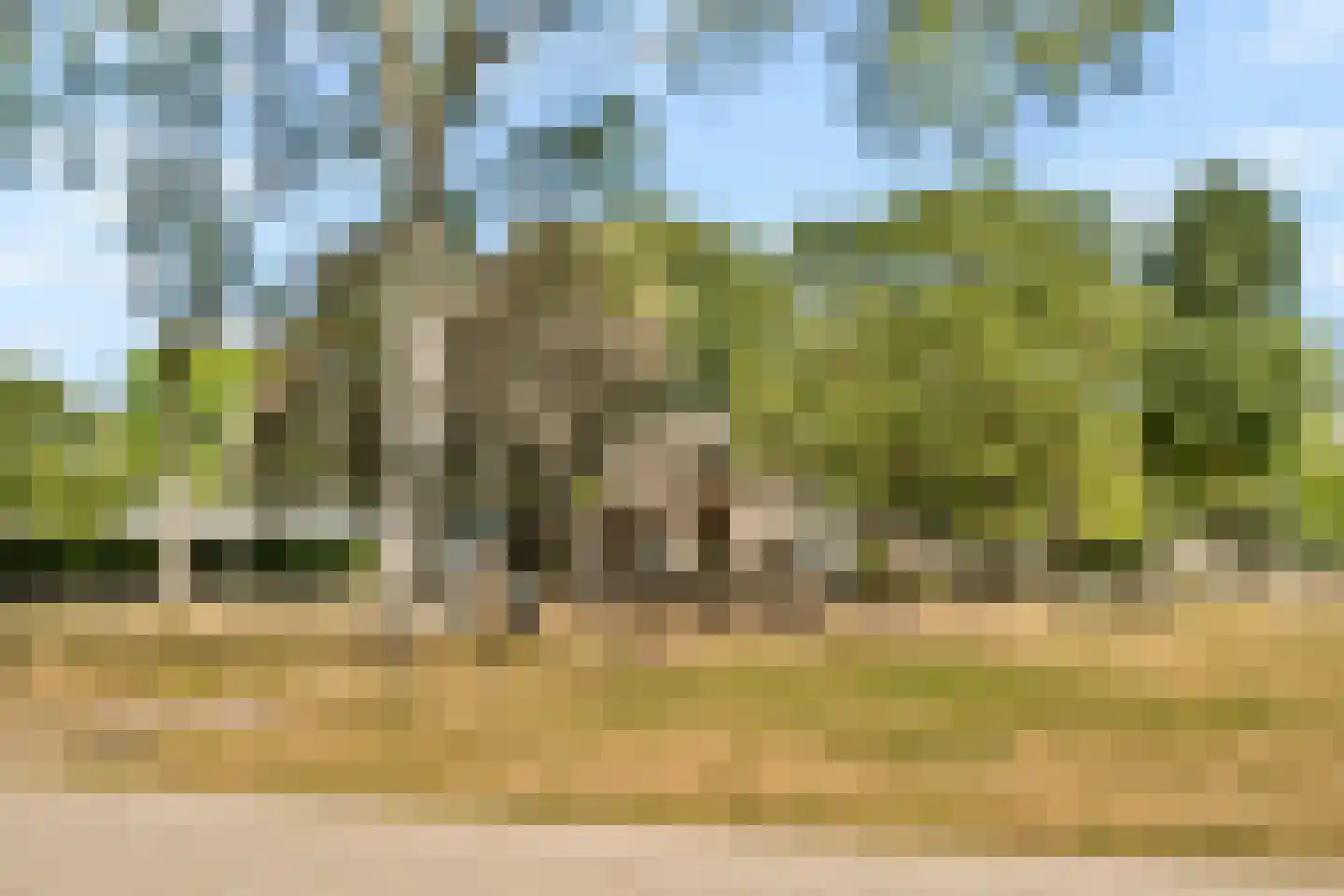 Koopvaardersplantsoen 81 Amsterdam thumbnail 44