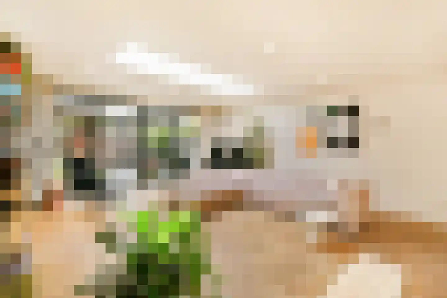 Koopvaardersplantsoen 81 Amsterdam thumbnail 5