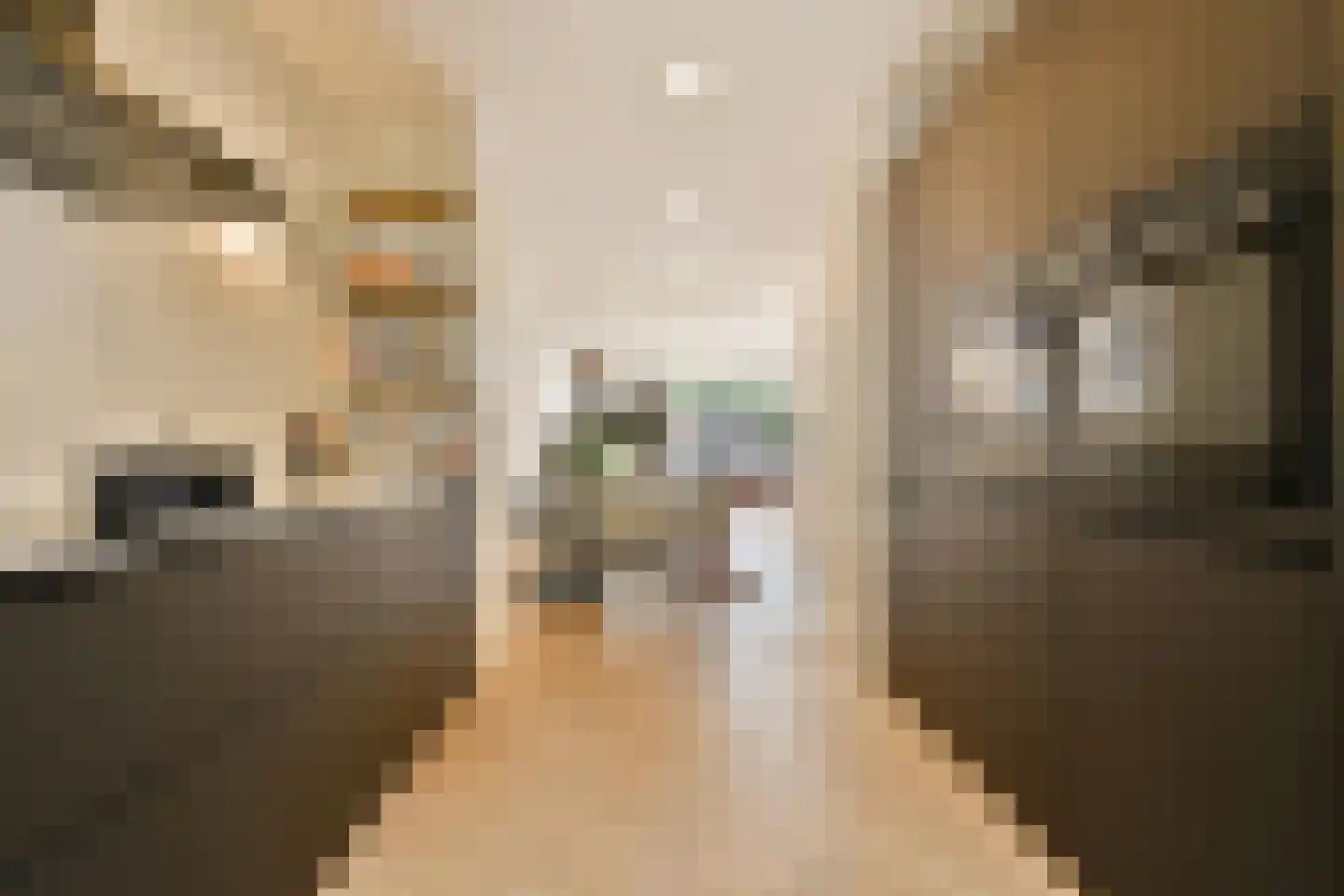 Koopvaardersplantsoen 81 Amsterdam thumbnail 9