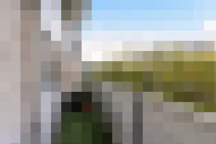 Koopvaardijhof 108 Rotterdam thumbnail 16