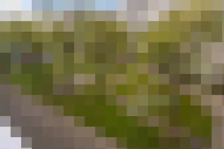 Koopvaardijhof 108 Rotterdam thumbnail 17