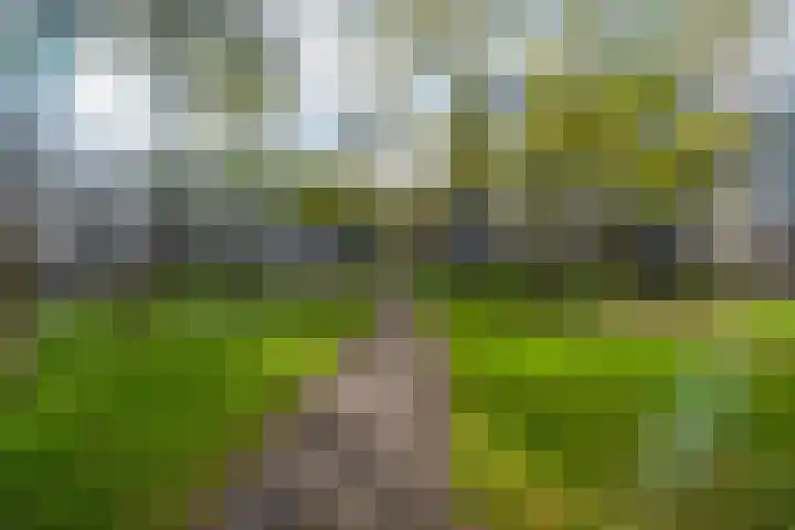 Koopvaardijhof 108 Rotterdam thumbnail 29