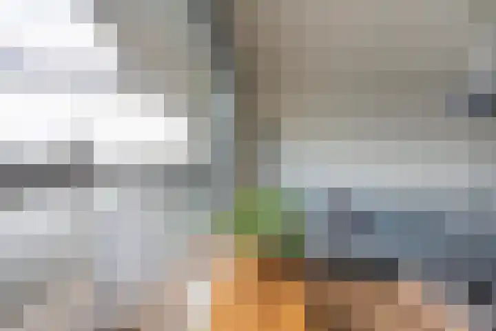 Koopvaardijhof 108 Rotterdam thumbnail 7