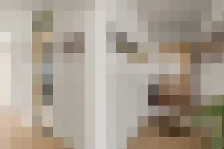Koopvaardijhof 136 Rotterdam thumbnail 32