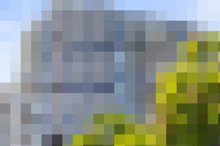 Koopvaardijhof 136 Rotterdam thumbnail 42