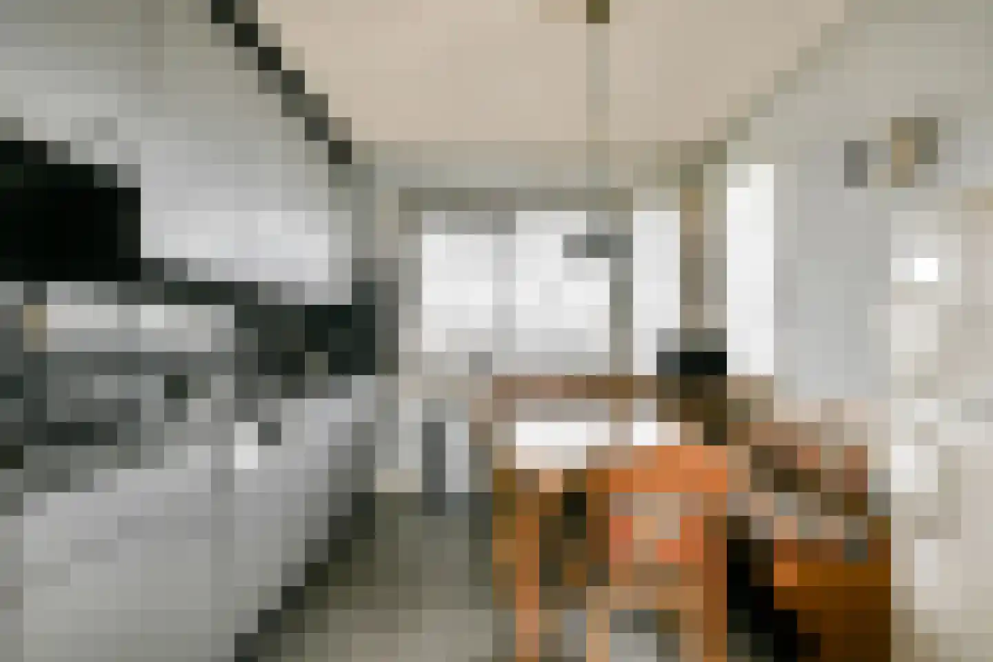Koopvaardijhof 16 Rotterdam thumbnail 14