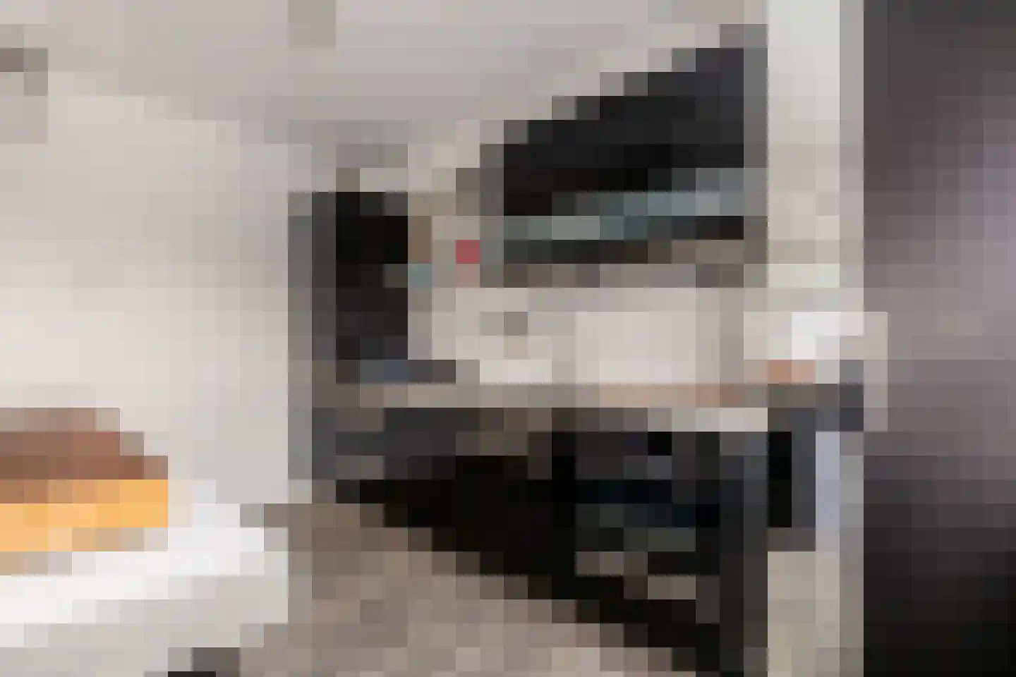 Koopvaardijhof 3 Rotterdam thumbnail 15