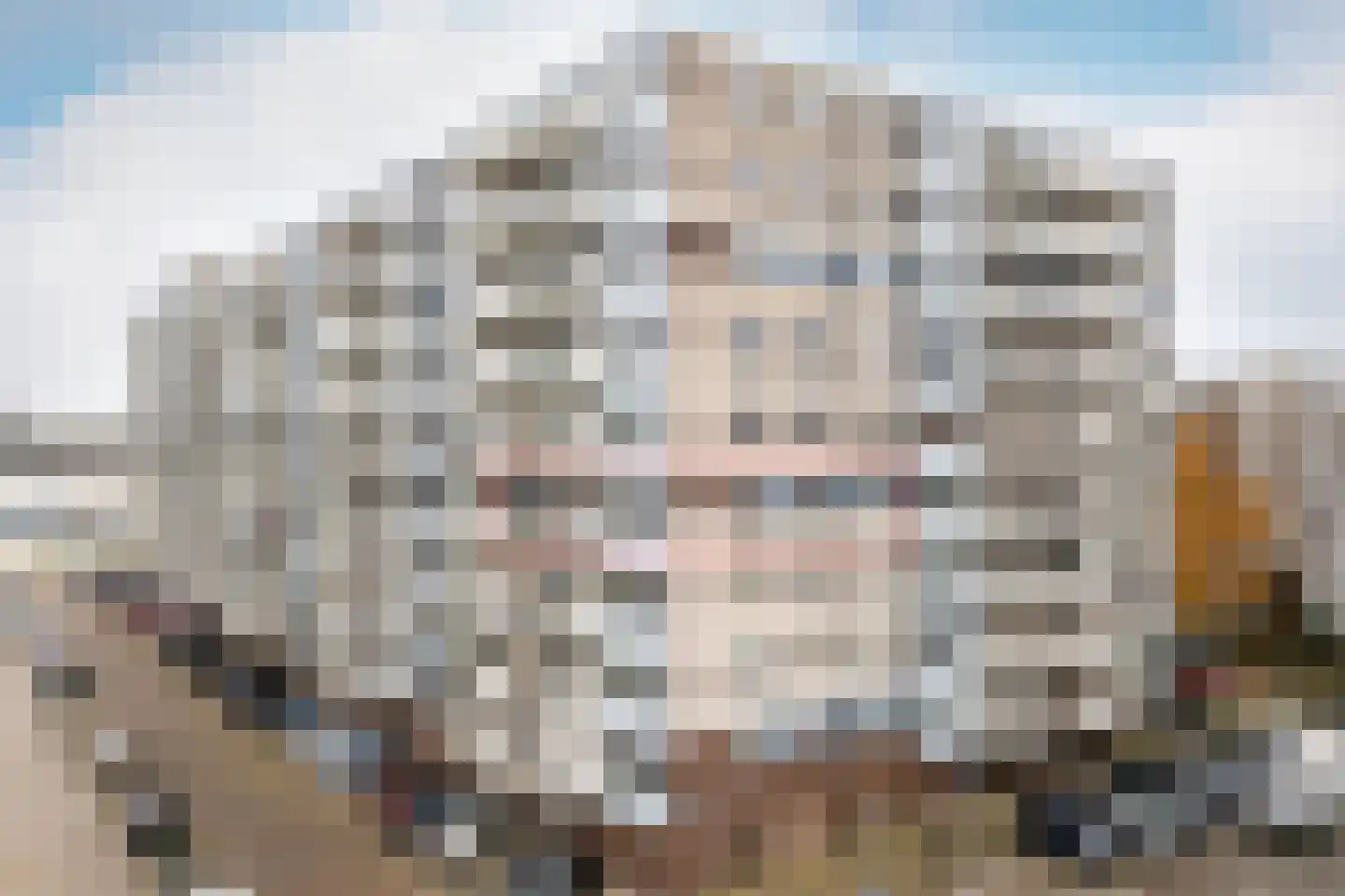 Koopvaardijhof 3 Rotterdam thumbnail 33