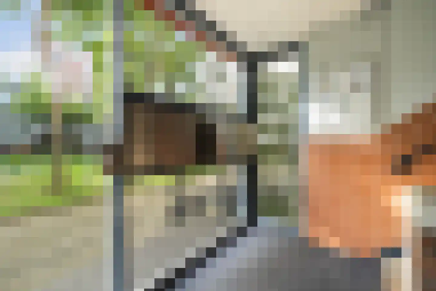Koopvaardijhof 43 Rotterdam thumbnail 39