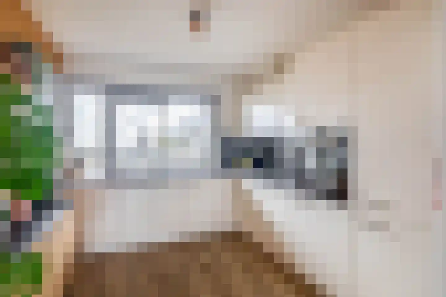 Koopvaardijhof 49 Rotterdam thumbnail 17