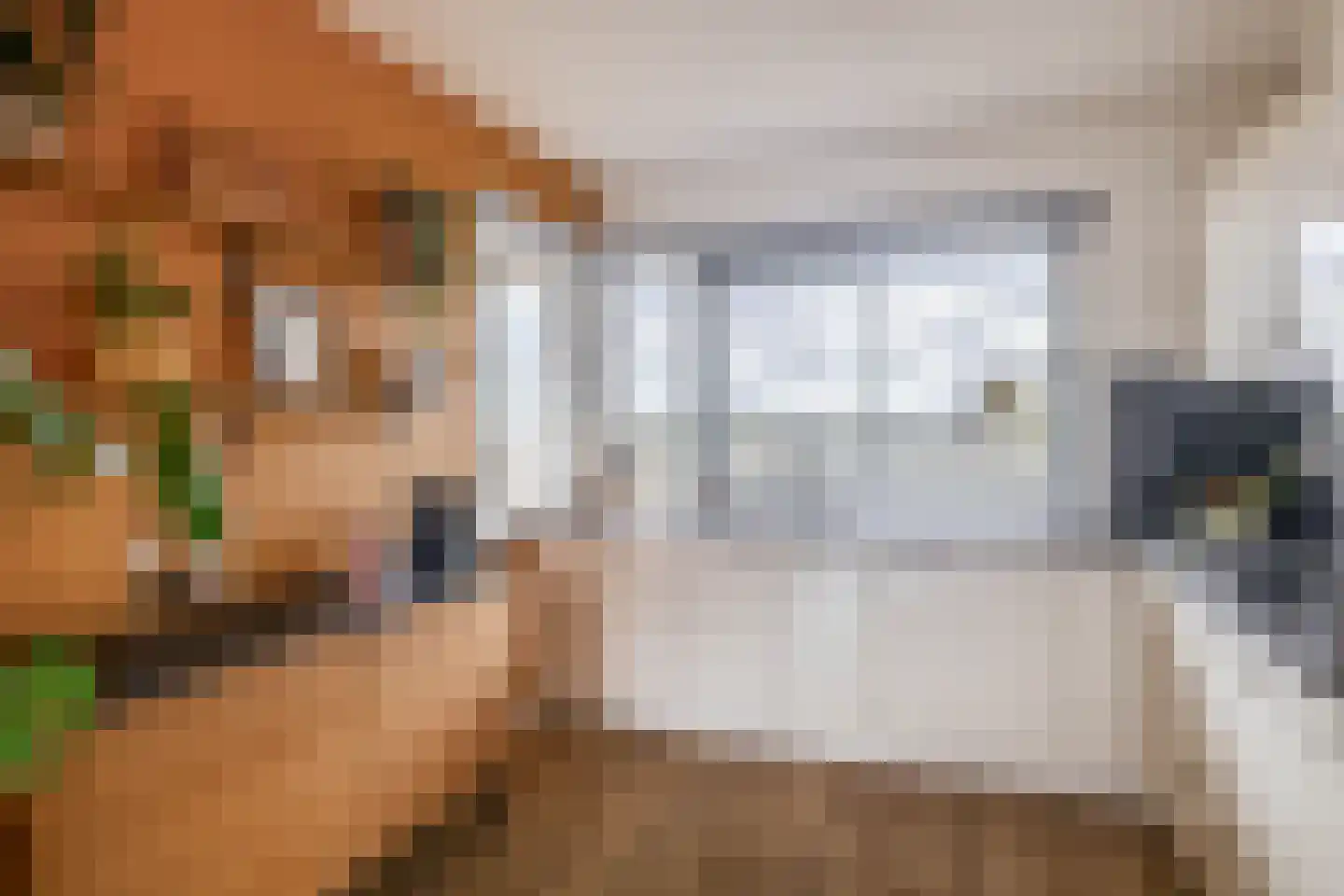 Koopvaardijhof 49 Rotterdam thumbnail 19