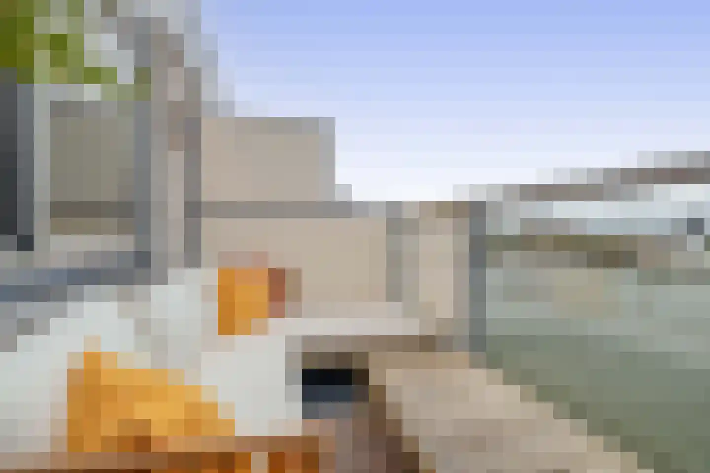 Koopvaardijhof 49 Rotterdam thumbnail 29