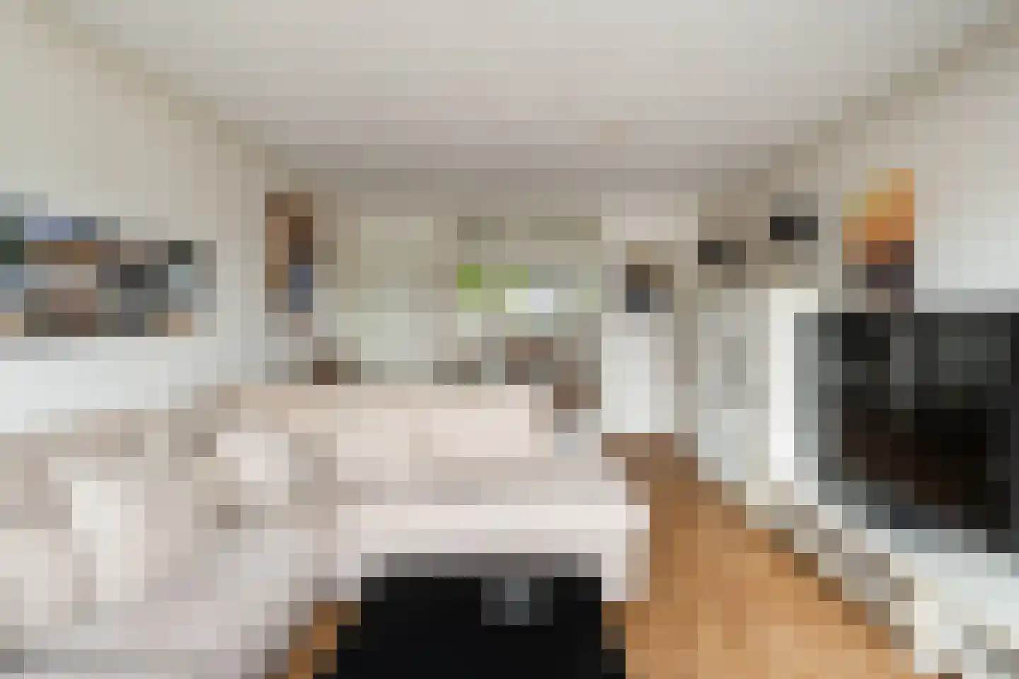 Koopvaardijhof 71 Rotterdam thumbnail 14
