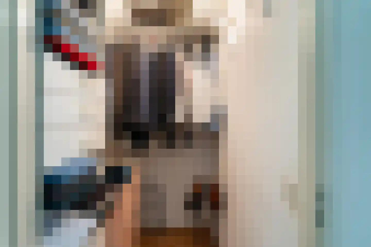 Koopvaardijhof 71 Rotterdam thumbnail 9